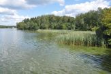 площадка для мероприятий на природе у воды