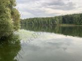 площадка для мероприятий  у воды 